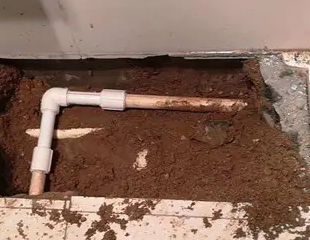 新乡市测漏水哪家好