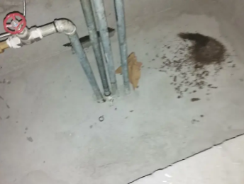 新乡市卫生间测漏水价格明细